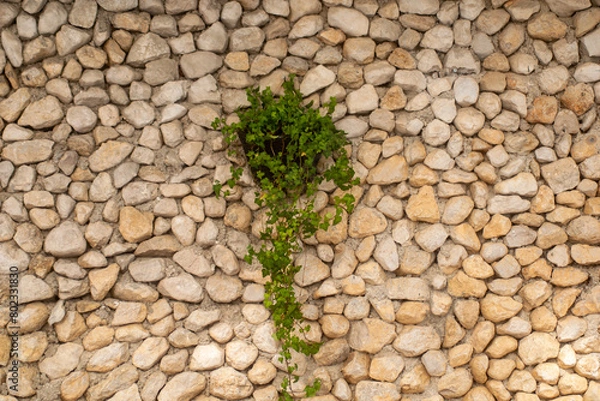 Obraz ein Mauer aus Stein