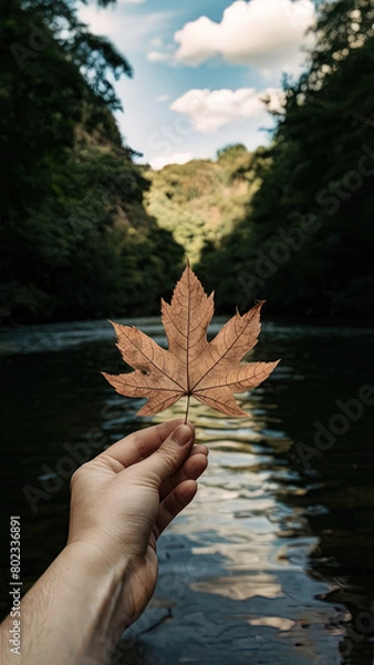 Obraz hand holding a leaf
