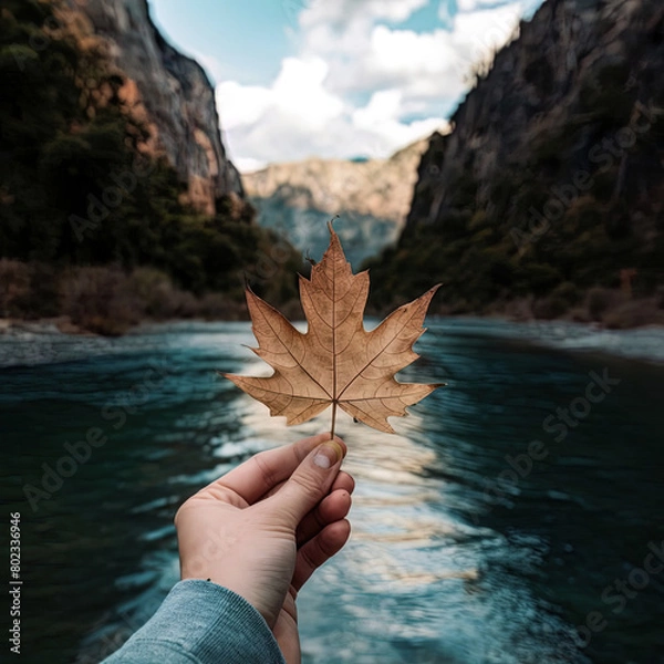 Obraz hand holding a leaf