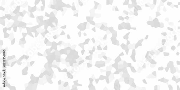Obraz Abstract Beautiful terrazzo flooring marble stone wall texture. Cold gray and white grunge wall texture. White pebble stones wall texture. Terrazzo flooring polished texture .	