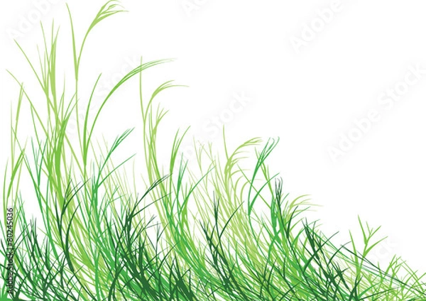 Obraz Grass is Greener