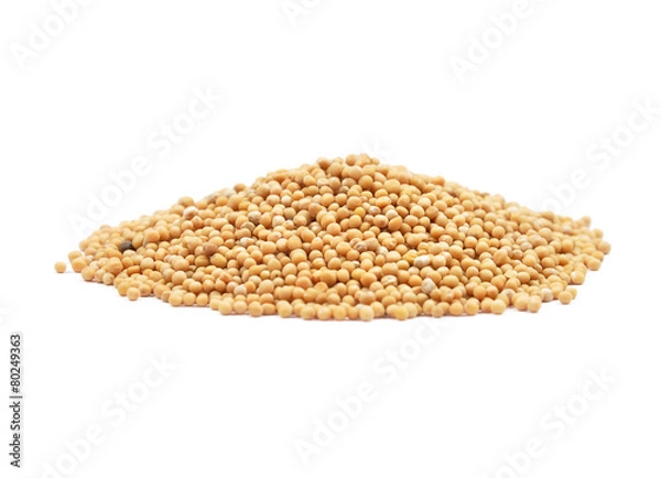 Fototapeta Senfkörner