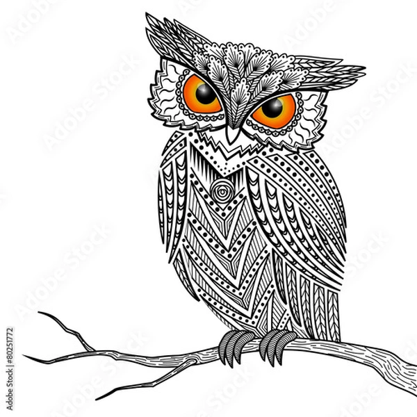Obraz sova
