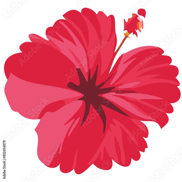 Obraz red dahlia flower