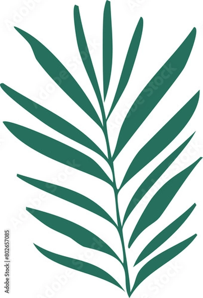 Obraz leaf isolated 