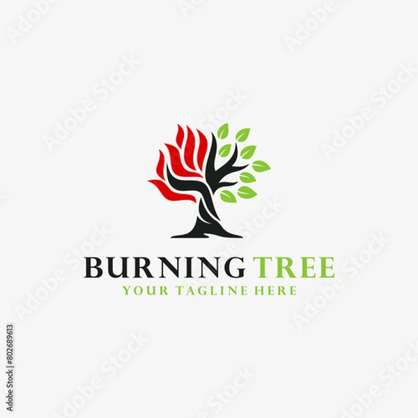 Obraz Burning tree logo design vector illustration
