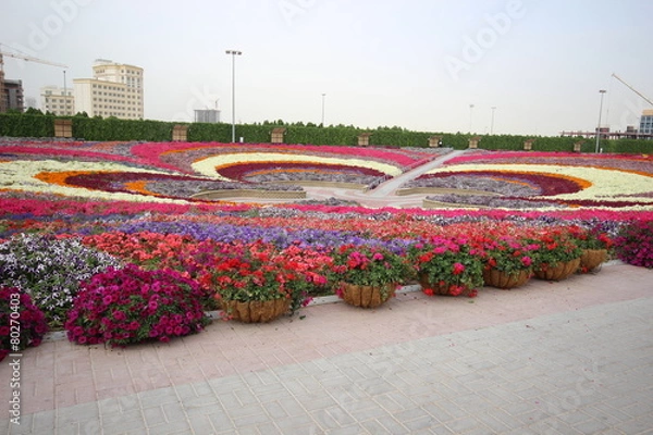 Obraz Dubai miracle garden