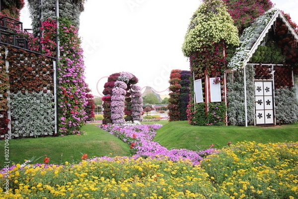 Obraz Dubai miracle garden