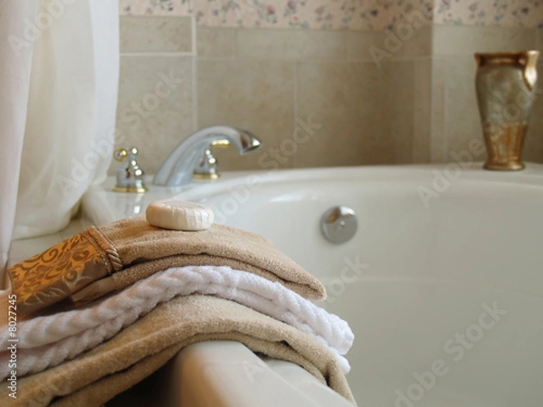 Obraz Elegant Bathtime