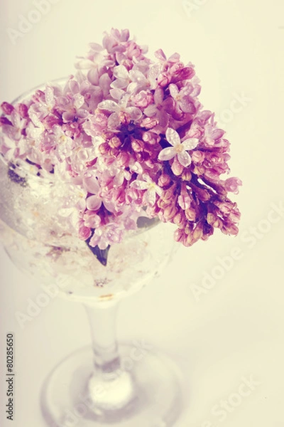 Obraz Lilac branch in a glass.