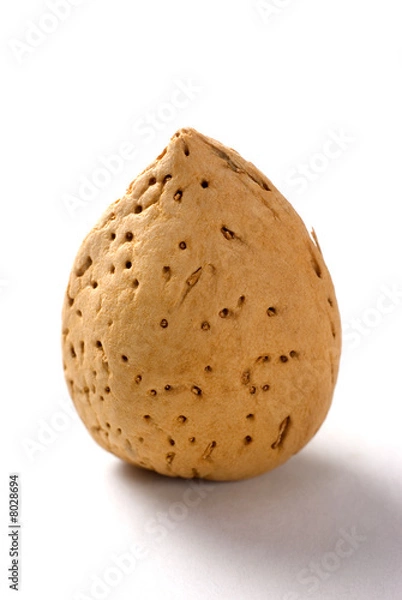 Obraz Almond Nuts