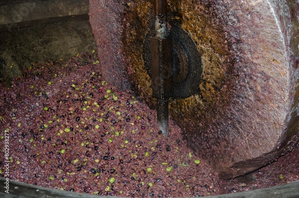 Fototapeta Olive oil press, the old way, inside a workshop in the High Atlas. morocco