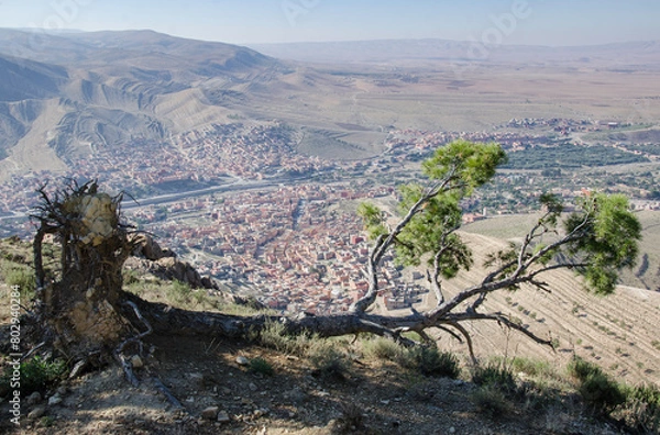 Fototapeta a fallen tree with panoramic view from the mountain to city, in high atlas morocco