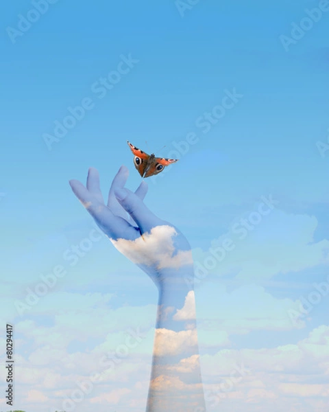 Obraz The Butterfly in your hands