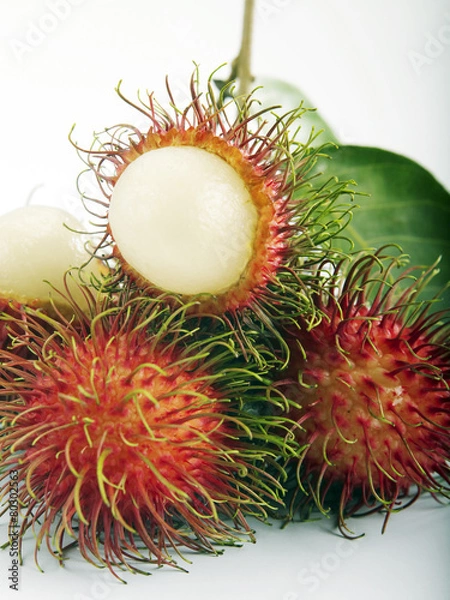 Obraz rambutan