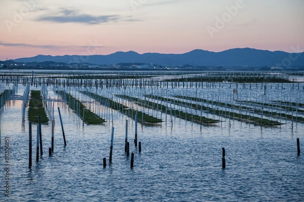 Fototapeta 浜名湖