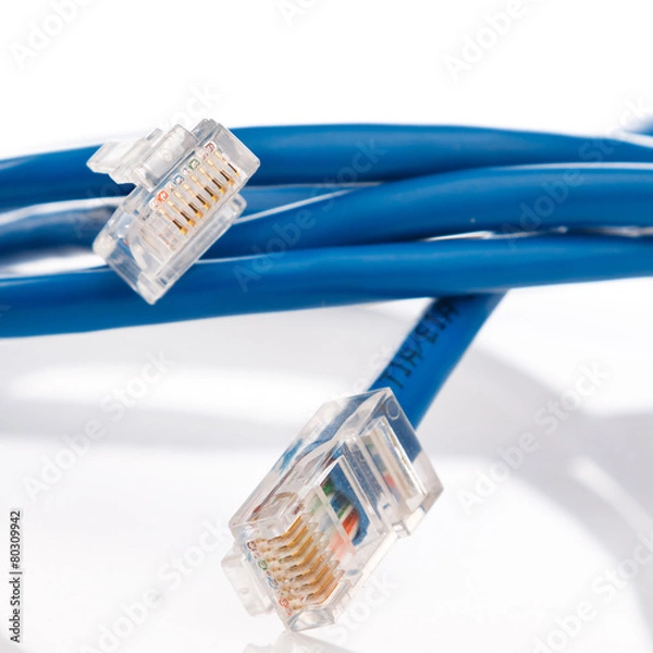 Fototapeta Blue internet cable