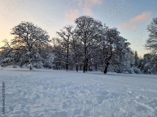 Obraz Englischer Garten München