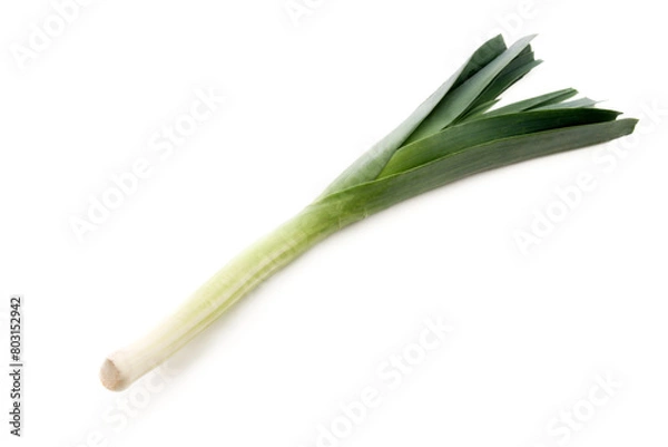 Obraz one fresh leek isolated, png file