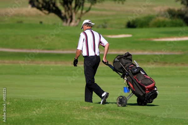 Obraz golf player walking with the golf pull cart