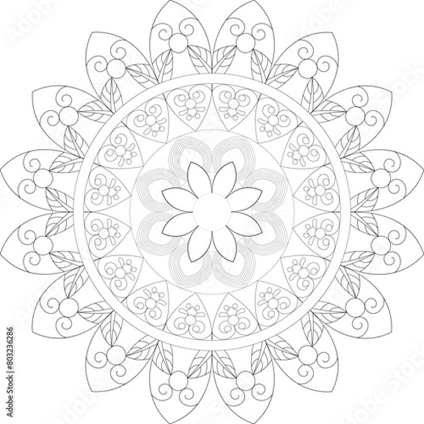 Obraz Vector Mandala Coloring Pages & Books