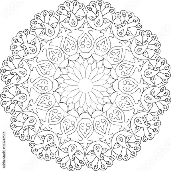 Obraz Vector Mandala Coloring Pages & Books