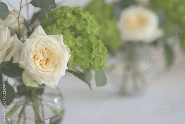 Obraz Close-up of muted white rose and green hydrangea with copy space, horizontal