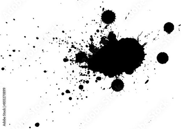 Obraz black ink brushed spalsh splatter on white background
