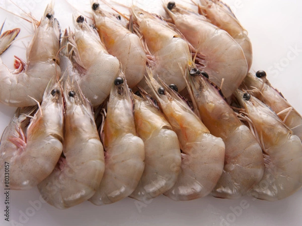 Fototapeta prawns