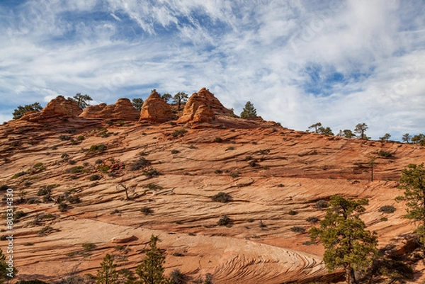Obraz Ancient Rock Eroded into Unique Features at Zion National Park