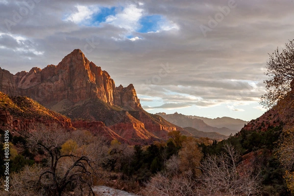 Obraz Soft Sunset at Zion National Park in Fall