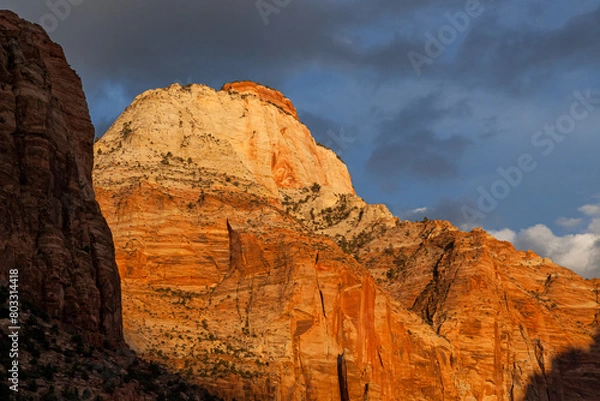 Obraz Soft Sunset at Zion National Park in Fall