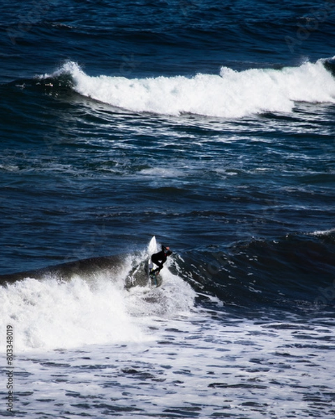 Obraz surfing the wave