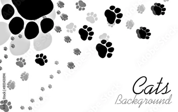 Obraz Cats paw background with sample text