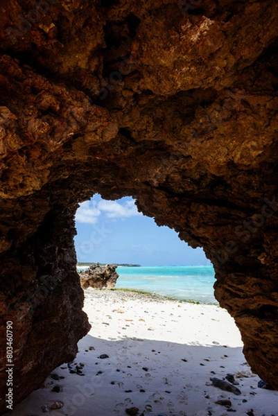 Fototapeta 大金久海岸の岩