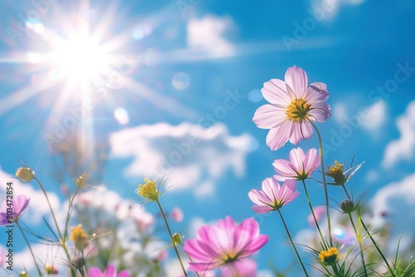 Obraz A field of flowers with a bright blue sky in the background