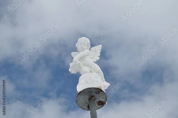 Fototapeta angioletto