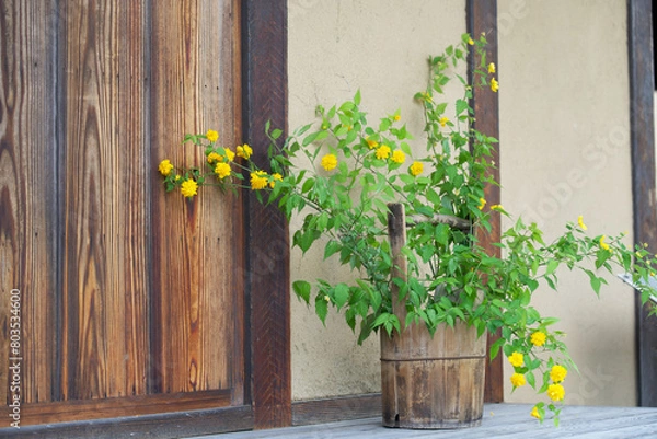 Obraz 縁側に置かれた花