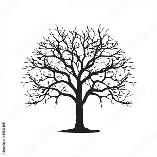 Fototapeta Tree and forest silhouettes silhouette tree line drawing set coconut tree silhouette illustrations