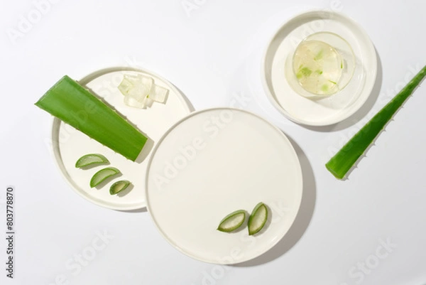 Fototapeta Top view photo with blank round dish placed in center for displaying products which made from aloe vera. Blank space for designing or advertising