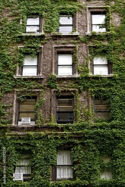 Fototapeta Fire Escape