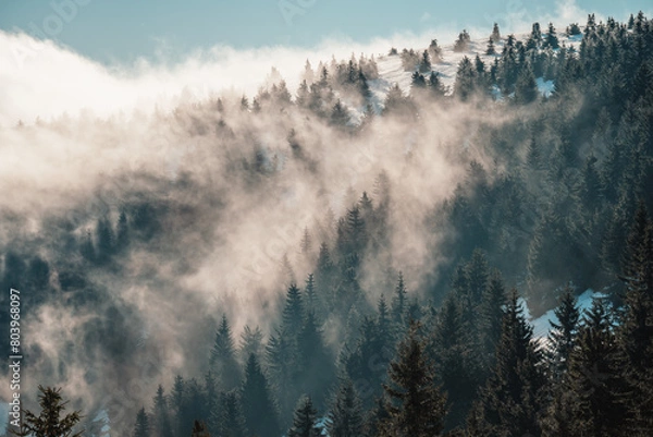 Fototapeta Misty landscape with fir forest. alpine landscape with snowy trees. Adventure winter sport. Low Tatras, slovakia