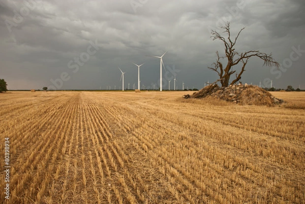 Obraz wind farm