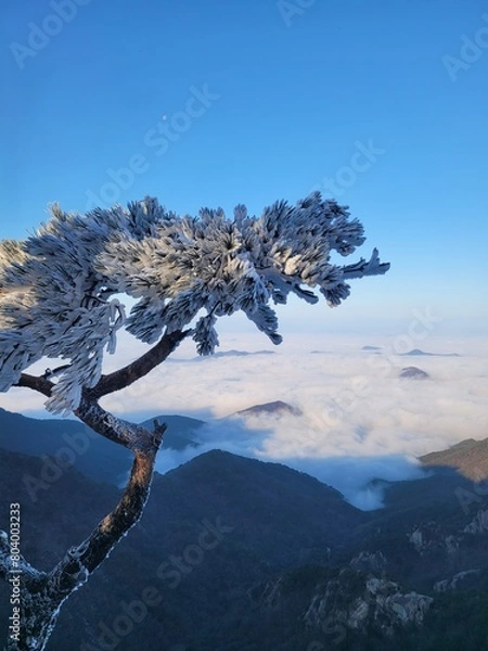 Obraz korea mountain