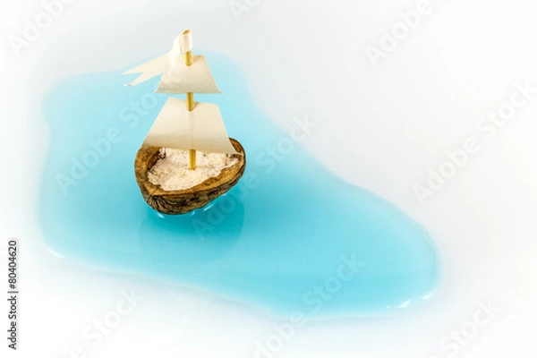 Obraz barca guscio di noce