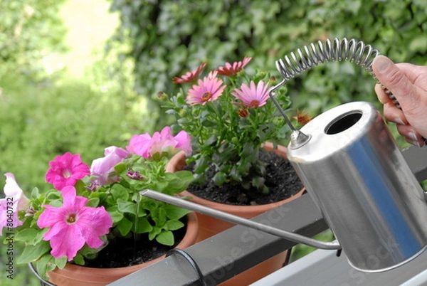 Fototapeta Balkongärtner