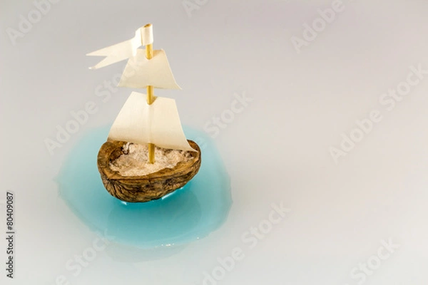 Obraz barca guscio di noce