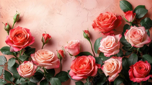 Fototapeta Red and Pink Roses Arranged on a Light Pink Background with Copy Space 
