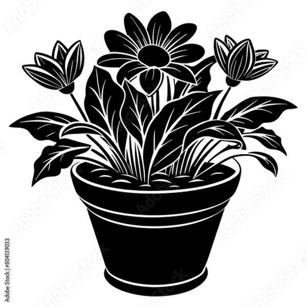 Obraz flower in a pot