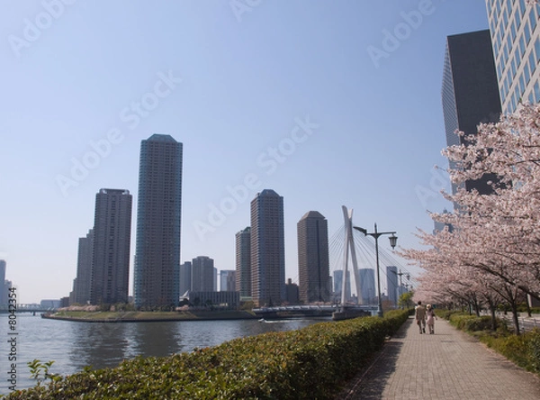 Fototapeta 中央大橋
